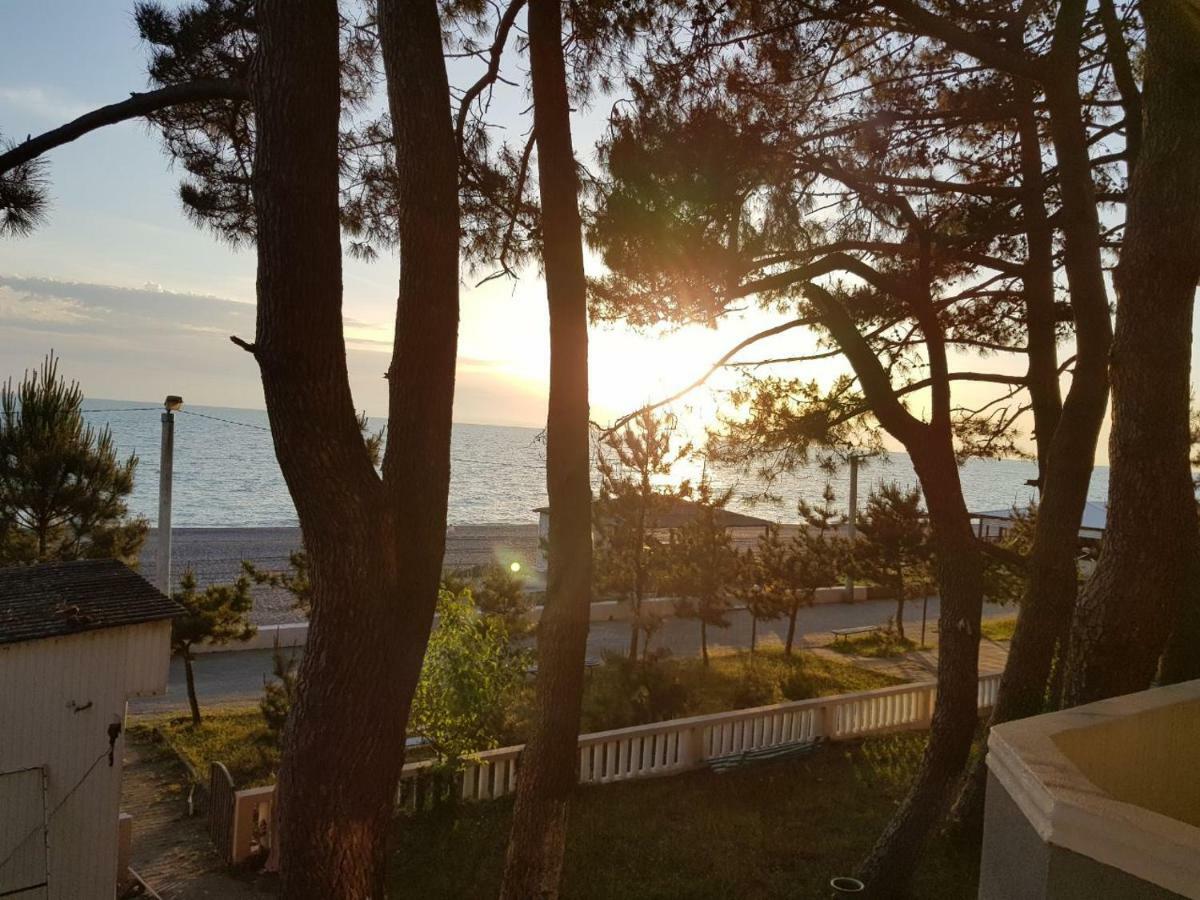 Midia Guest House Kobuleti Exterior photo